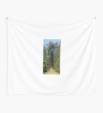 The Largest Tree in the World - GigaPan Wall Tapestry