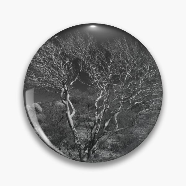 Item preview, Outback Tree Acacia grasbyii minirichie, Black and white. designed and sold by Leonie Mac Lean.