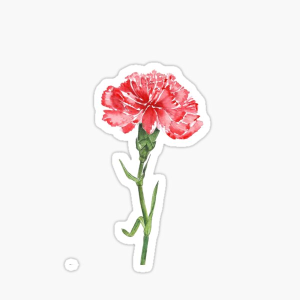Stickers Carnation Flower Sticker Stickers, Labels & Tags Paper