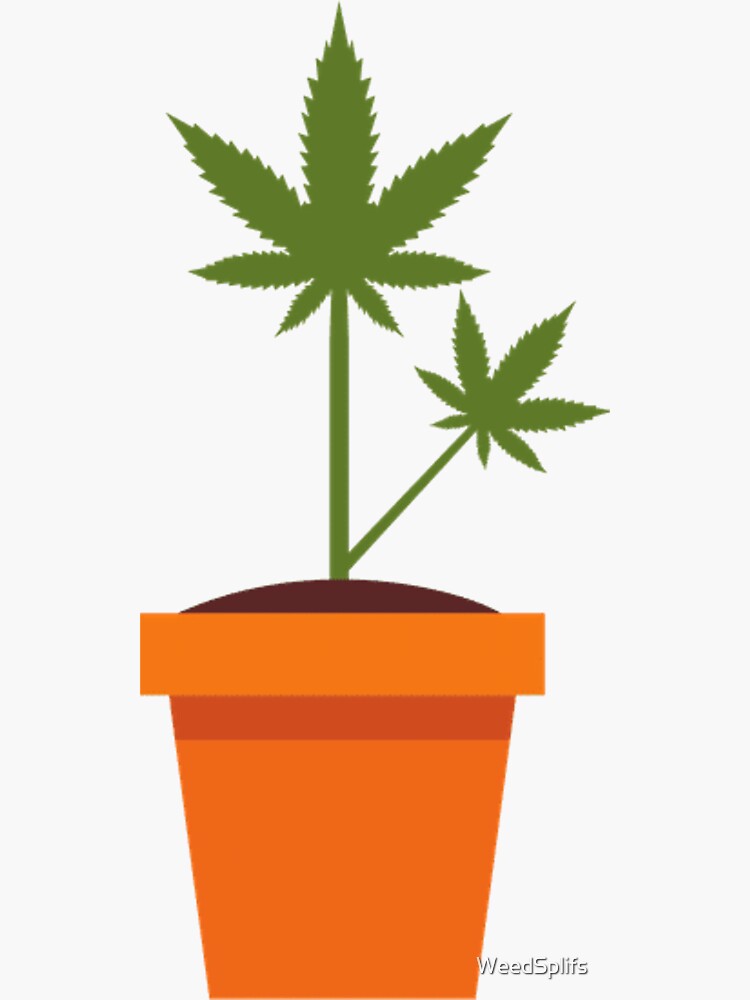 Cannabis flower pot by WeedSplifs