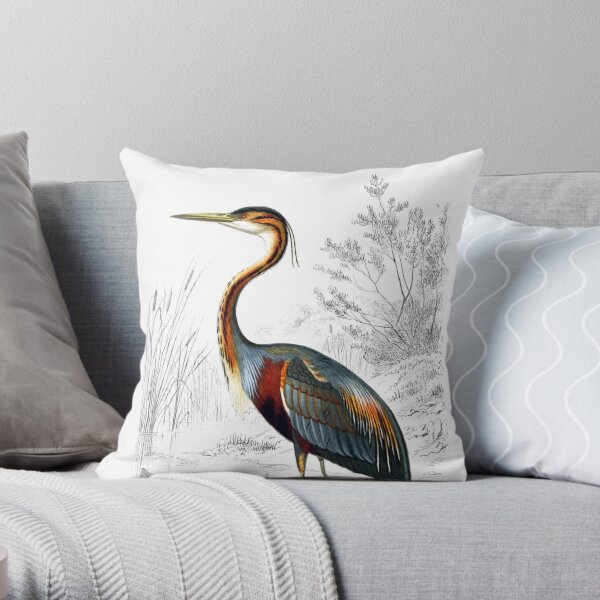 https://ih1.redbubble.net/image.1092564031.7130/throwpillow,small,600x-bg,f8f8f8-c,0,120,600,600.u1.jpg