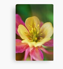 Celebration.... Metal Print