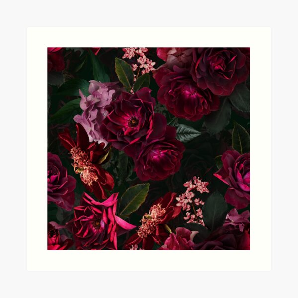 Antique Midnight Botanical Flower Rose Garden Art Print