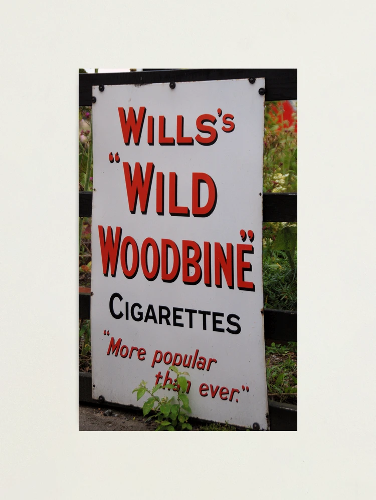 carbon monoxide in cigarettes Carbon monoxide in cigarette smoke harms health carbon monoxide in cigarettes Carbon monoxide in cigarette smoke harms health