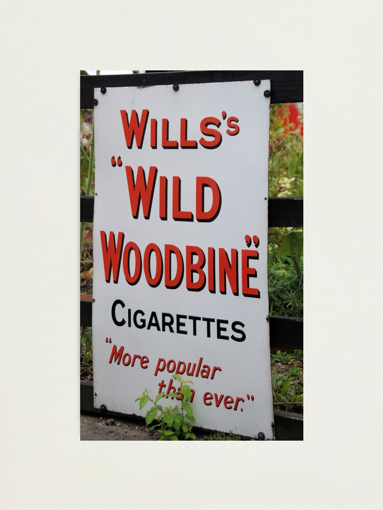 wild woodbine cigarettes year Wild Woodbine