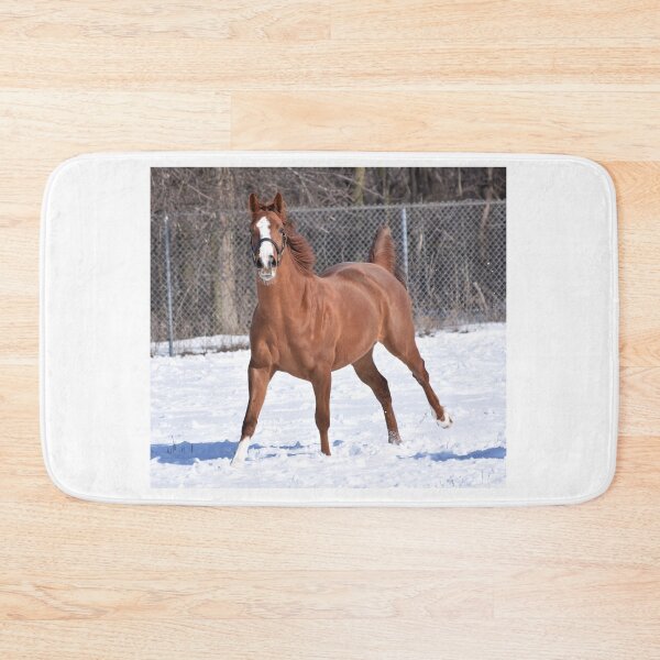 Item preview, Verrazano filly  designed and sold by theartsyeq.