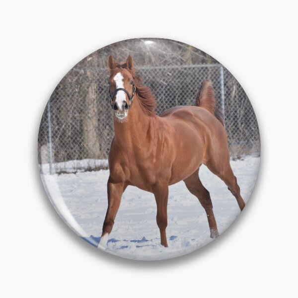 Item preview, Verrazano filly  designed and sold by theartsyeq.