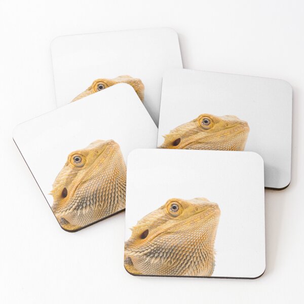 Item preview, A Bearded Dragon designed and sold by Ben Gingell.