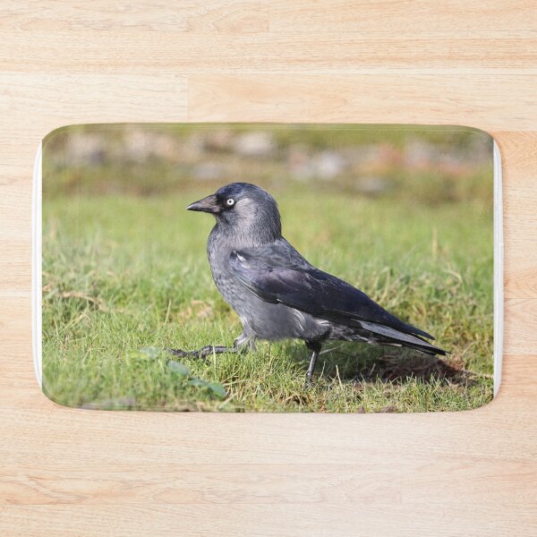 Item preview, Striding jackdaw designed and sold by GreyFeatherPhot.