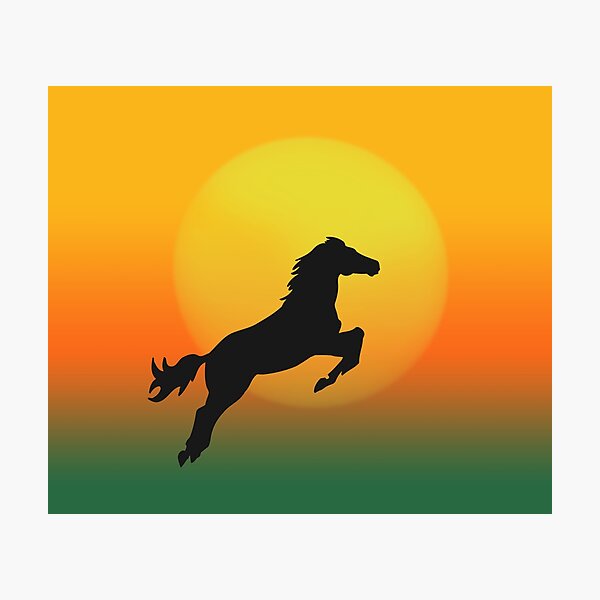Jumping Photographic Print