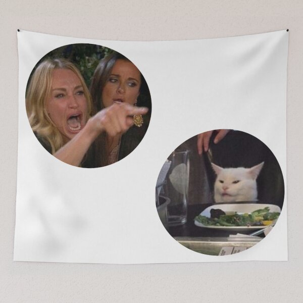 Item preview, woman yelling at a cat designed and sold by woollymonkey.