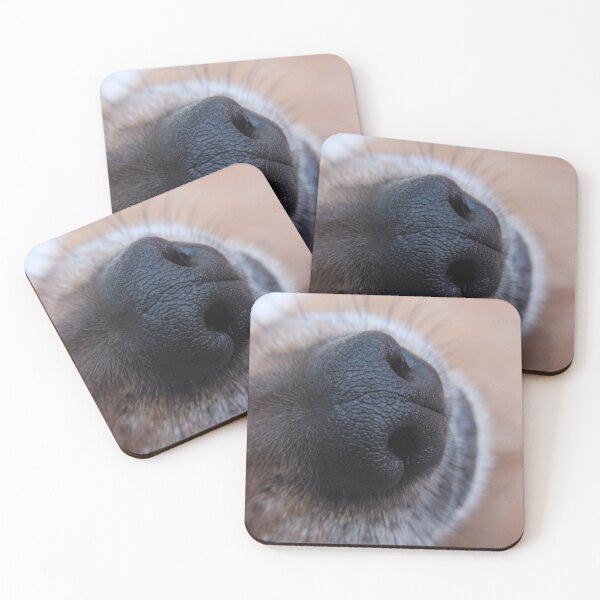 Item preview, Eddie's Nose designed and sold by Susie Kramer.