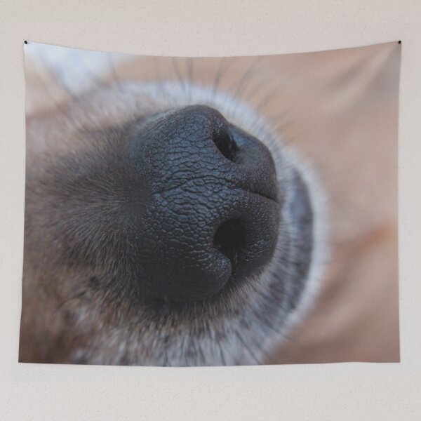 Item preview, Eddie's Nose designed and sold by Susie Kramer.