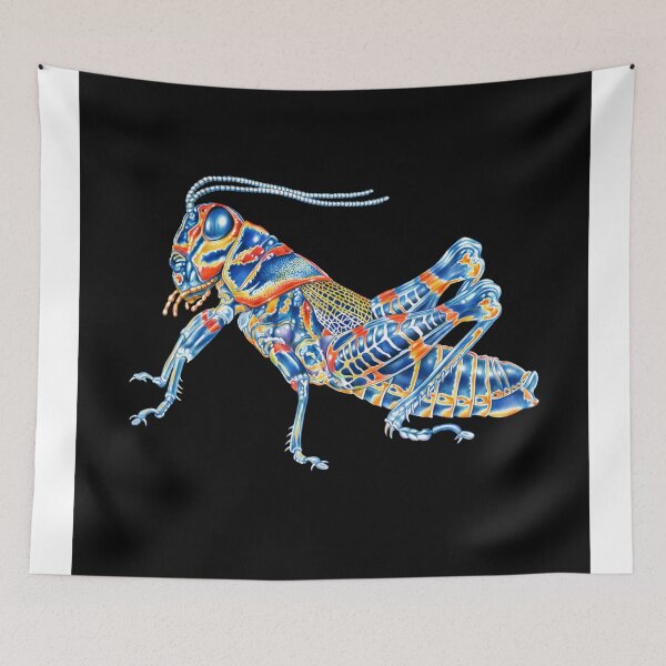 Item preview, Rainbow Grasshopper designed and sold by TimJeffsArt.