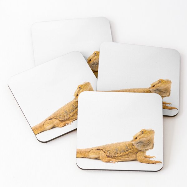 Item preview, A Bearded Dragon designed and sold by Ben Gingell.