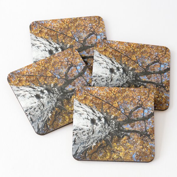 Item preview, Trunk View designed and sold by Susie Kramer.