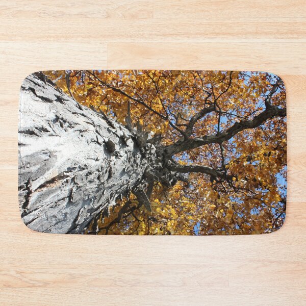 Item preview, Trunk View designed and sold by Susie Kramer.