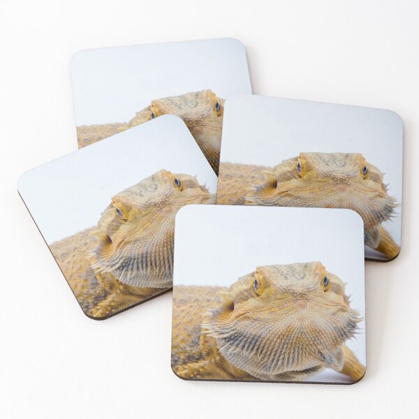 Item preview, A Bearded Dragon designed and sold by Ben Gingell.