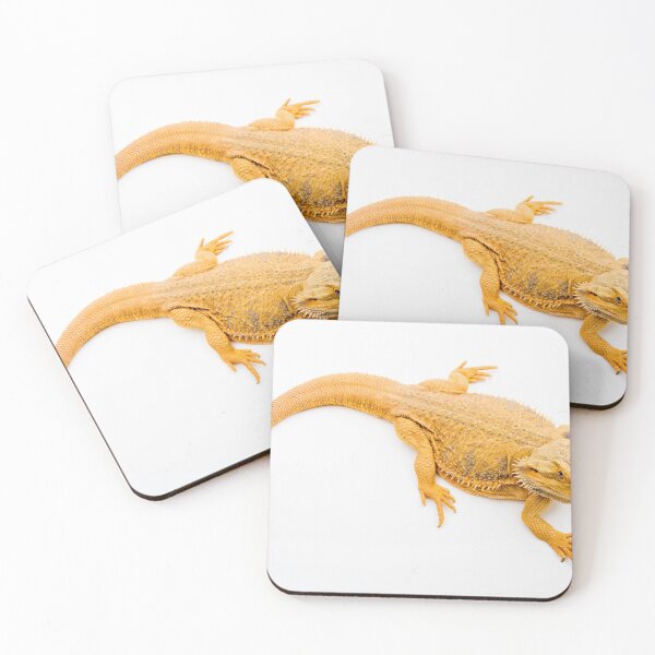 Item preview, A Bearded Dragon designed and sold by Ben Gingell.