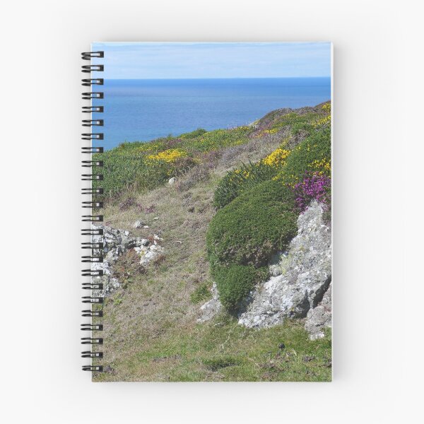 Item preview, Rocks, gorse and heather on Mynydd Mawr, Llyn designed and sold by Anna Myerscough.