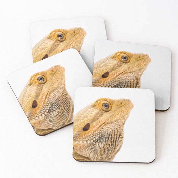Item preview, A Bearded Dragon designed and sold by Ben Gingell.