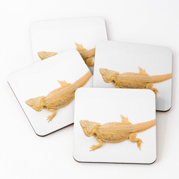 Item preview, A Bearded Dragon designed and sold by Ben Gingell.
