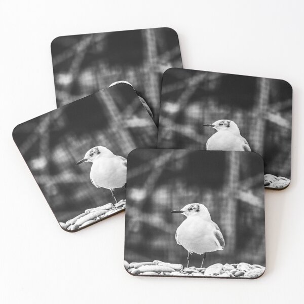 Item preview, seagull designed and sold by tulatich.