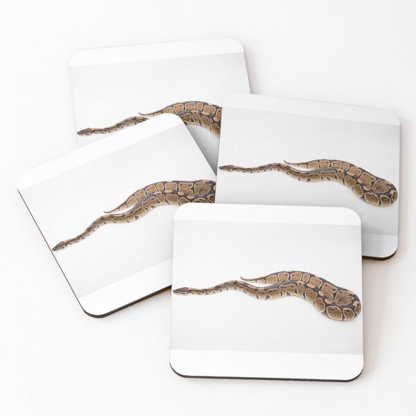 Artikelvorschau, A Royal/Ball Python  entworfen und verkauft von Ben Gingell.