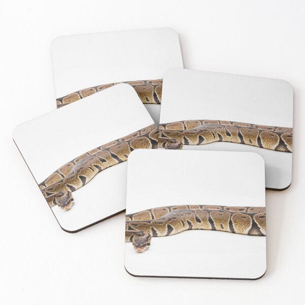 Artikelvorschau, A Royal/Ball Python  entworfen und verkauft von Ben Gingell.