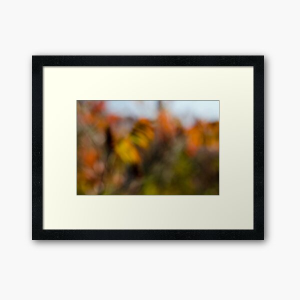 Autumn Sumac Framed Art Print