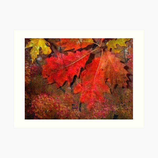 Glow of October Art Print