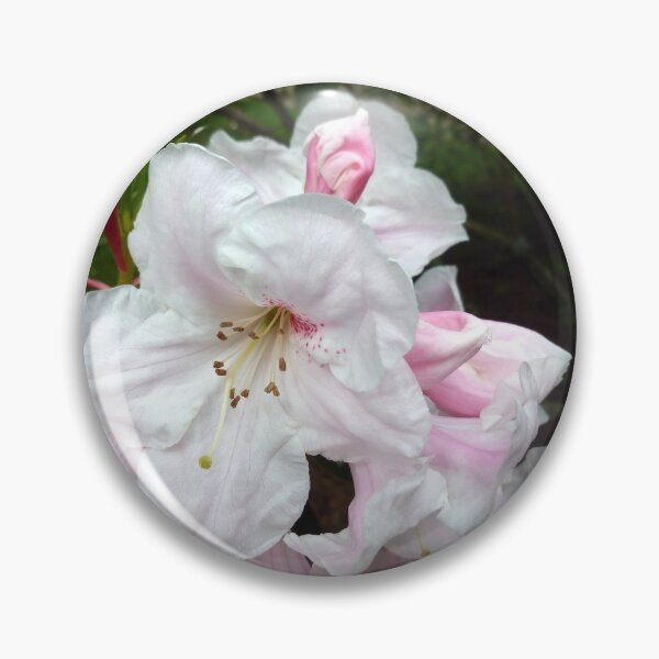 Item preview, WASHINGTON'S "FAIREST-PINK" RHODODENDRON designed and sold by Elaine Bawden.
