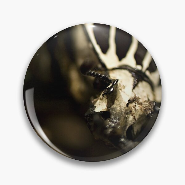 Item preview, Goliath beetle designed and sold by Yannik Hay.
