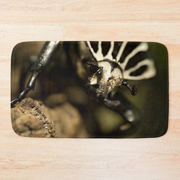Item preview, Goliath beetle designed and sold by Yannik Hay.
