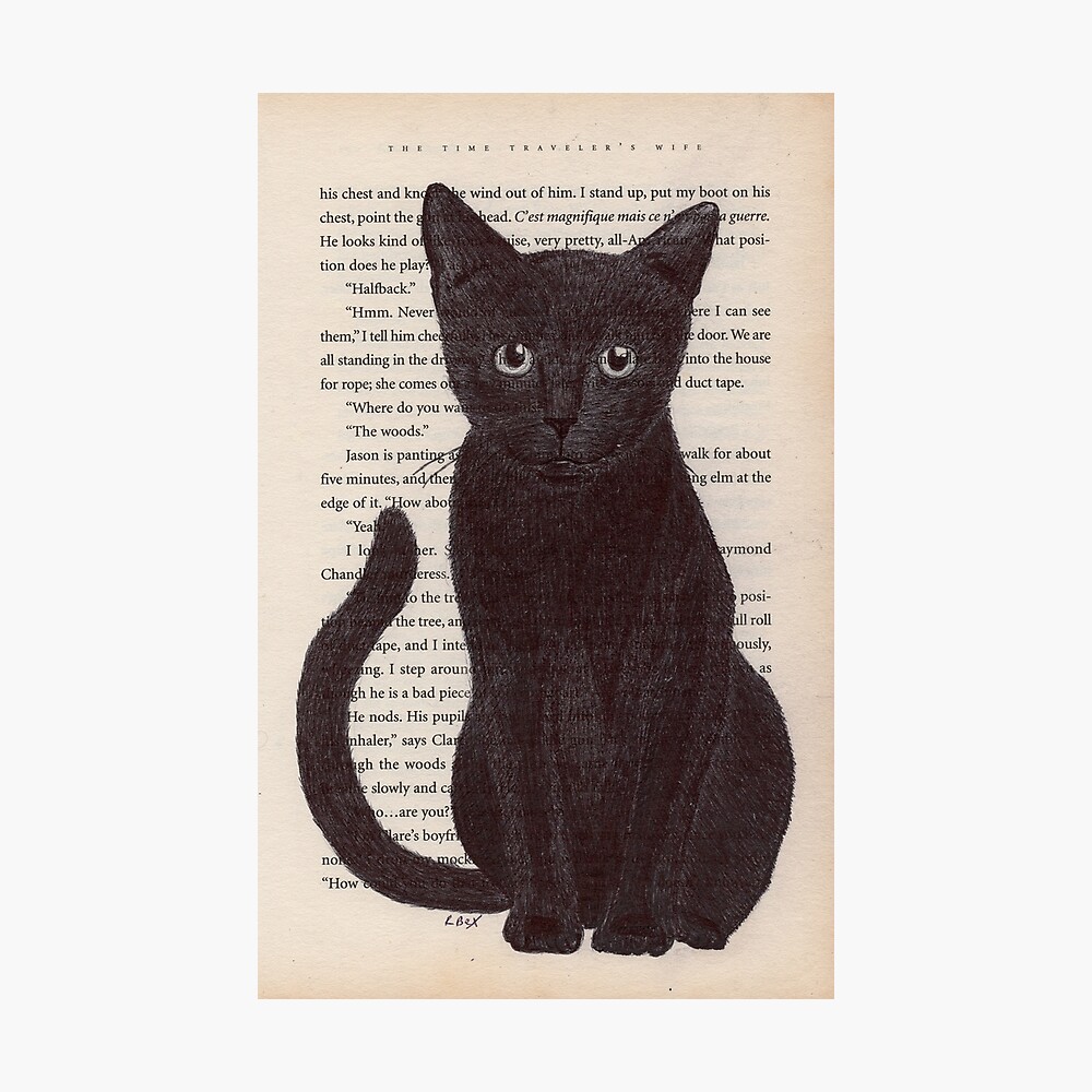 Poster Croquis De Chat Noir Dessin Illustration Impression D Art De Page De Livre Vintage Par Rbex Art Redbubble