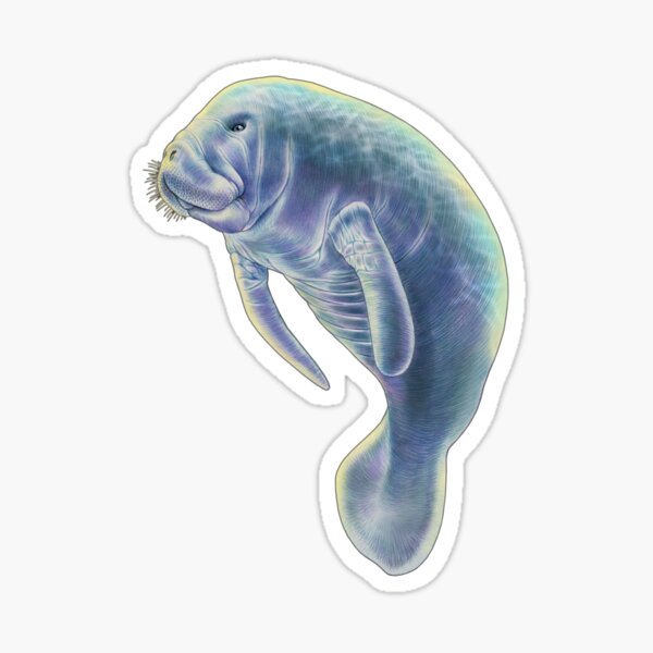 Item preview, Manatee designed and sold by TimJeffsArt.