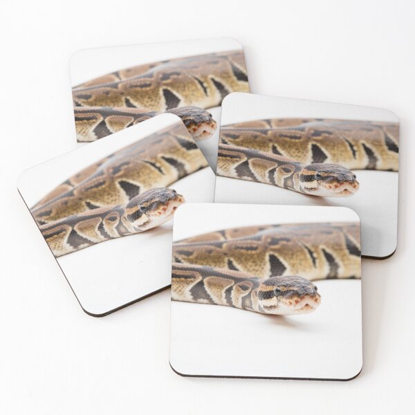 Artikelvorschau, A Royal/Ball Python entworfen und verkauft von Ben Gingell.
