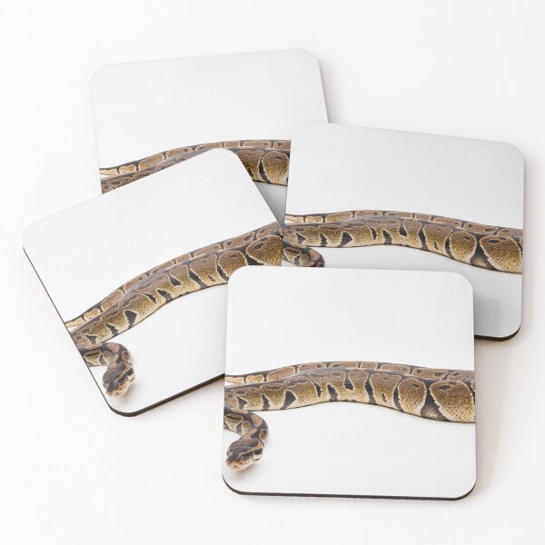 Artikelvorschau, A Royal/Ball Python  entworfen und verkauft von Ben Gingell.