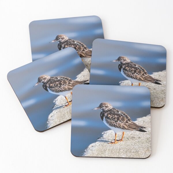 Item preview, Turnstone at Lyme Regis Harbour designed and sold by Dorset Girl.