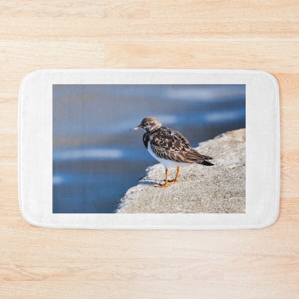 Item preview, Turnstone at Lyme Regis Harbour designed and sold by Dorset Girl.
