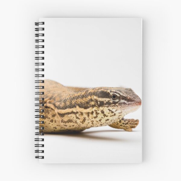 Item preview, An Ackie/Spiny Tail Monitor  designed and sold by Ben Gingell.