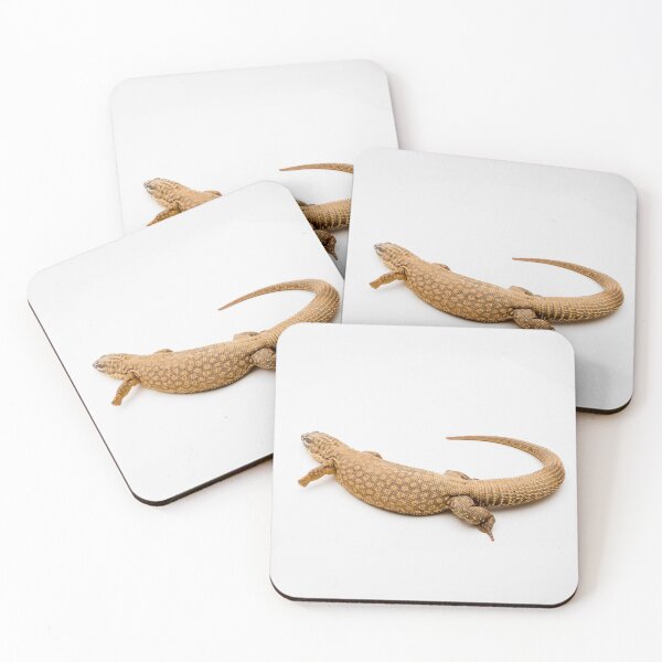 Item preview, An Ackie/Spiny Tail Monitor  designed and sold by Ben Gingell.
