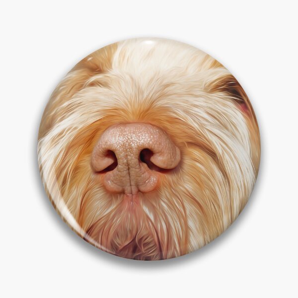 Waiting for you Spinone Pin