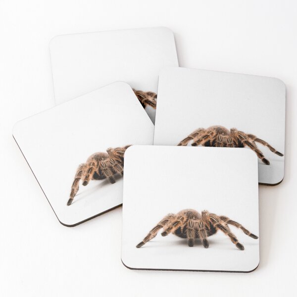 Item preview, A Honduran Curly Hair Tarantula designed and sold by Ben Gingell.