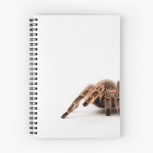 Item preview, A Honduran Curly Hair Tarantula designed and sold by Ben Gingell.