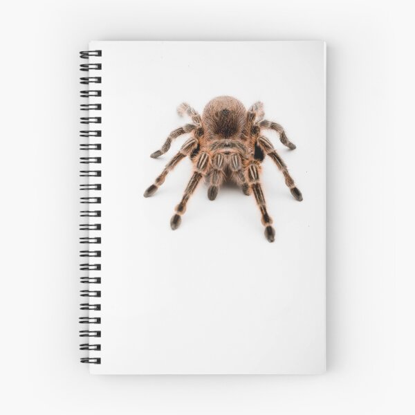 Item preview, A Honduran Curly Hair Tarantula designed and sold by Ben Gingell.