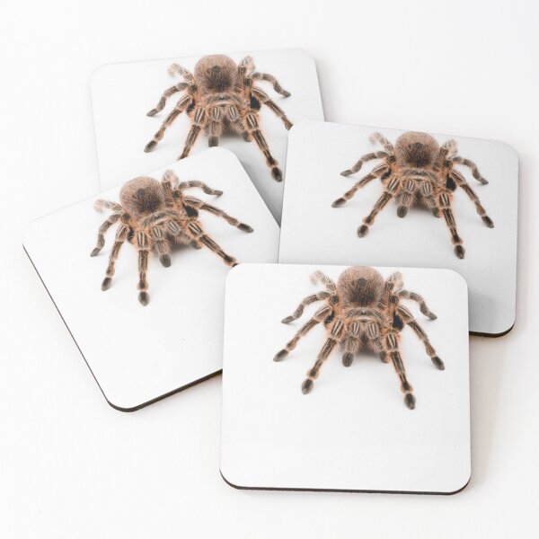 Item preview, A Honduran Curly Hair Tarantula designed and sold by Ben Gingell.