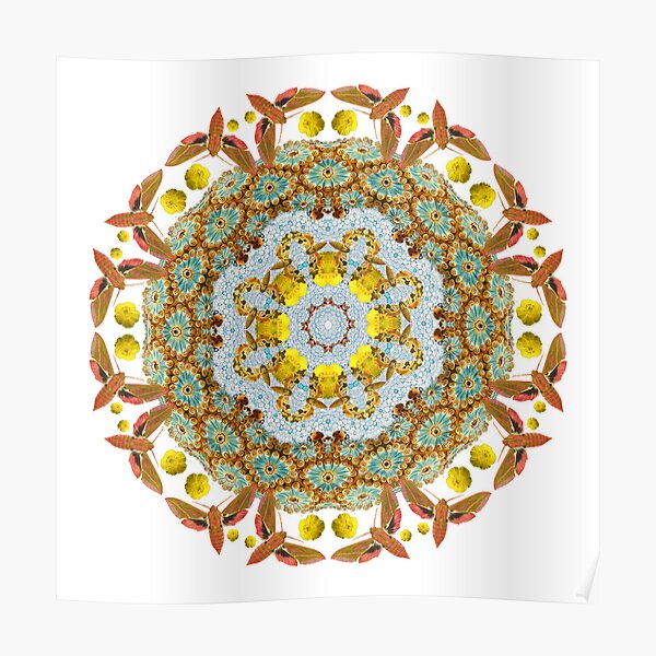 Elegant Nature Poster