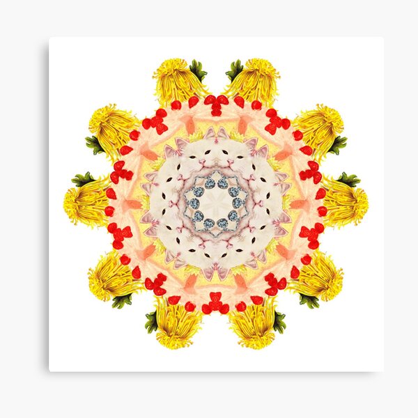 Royal Kitties, Cakes + Diamonds Mandala Canvas Print
