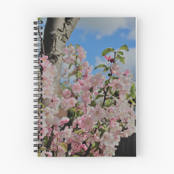 Aperçu de l'œuvre Fleur de cerisier rose créée et vendue par NatureGo.